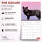 Wyman Publishing; Canadian Geographic Foxes OFFICIAL | 2027 12 x 24 Inch (Hanging) Monthly Square Wall Calendar; Category:Wall Calendars; Image:7